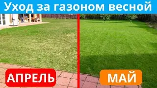 УХОД ЗА ГАЗОНОМ после ЗИМЫ❄️Уход за газоном ВЕСНОЙ🌞Весенний уход за газоном: вычесывание и аэрация.