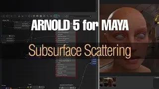 Subsurface Scattering in Arnold 5