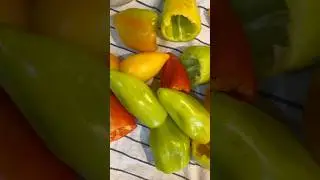 Зажарку в фарш добавляете? 😊 🍅🍆🥬🥕#готовимдома