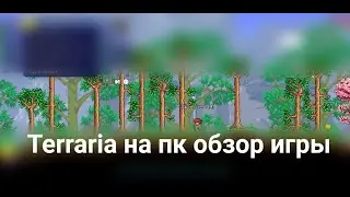 Terraria на пк обзор игры