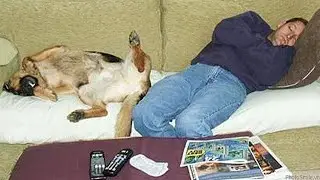 When God decides you must adopt these FUNNY DOG