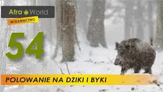 Polowanie na dziki i jelenie