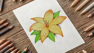 Pencil Colour Drawing / Most Beautiful Flower Drawing Tutorial / Colour Pencil Drawing