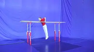 Exercise 9. Flexion-extension of the arms in emphasis on the bars