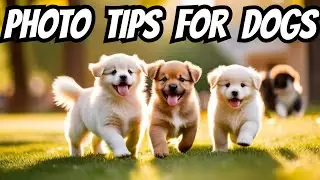 📸 Capturing Cuties, Photography Tips for Dog Lovers #puppy #photography