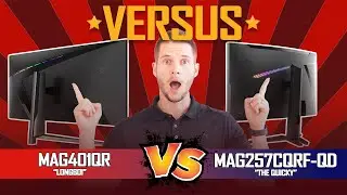 Which Msi Screen is best?   -  MAG401QR vs MAG257CQRF-QD