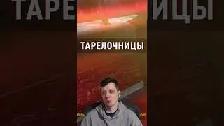 Тарелочница