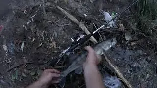 Тест  ZEMEX Impressive  S-702XUL 0,3-3,0g по верхам
