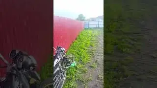альфа 2020года 