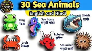 Sea Animals🐳 | Water animals names🦀 - Hindi and English | WATRstar #wateranimals #seaanimals