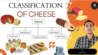 Different Types Of Cheese In हिंदी |Classification Of Cheese | Types Of Cheese & Origin From