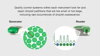 Did You Know that Beyond Sensitivity, ddPCR Provides Unrivaled Precision and Accuracy?