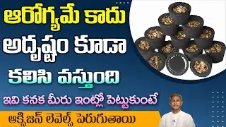 Tips to Reduce Infections | Increases Health | Natural Room Freshener | Dr. Manthena's Health Tips