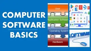 Introduction to Computer Software | What is Software | Software Basics