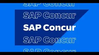 Monitoring and Correcting Posting Errors in SAP Concur