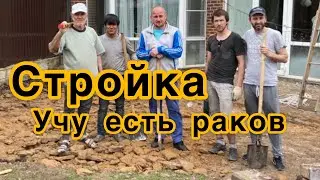 Строим,красим и правильно едим раков.