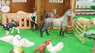 Farm Barn Animals Toys | Fun Common Animals Toys | YapiTV Toy