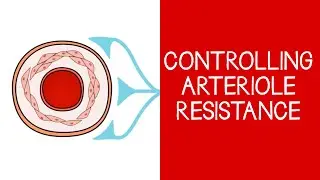 4.3 Cardiovascular: Controlling Arteriole Resistance