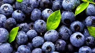 What Makes a Blueberry a Superfood? | Superfoods Guide