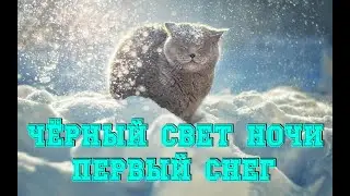 Чёрный Свет Ночи - Первый снег (cover)