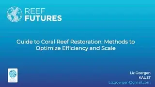 Guide to Coral Reef Restoration: Methods to Optimize Efficiency and Scale