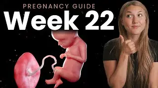 22 Weeks Pregnant | Week By Week Pregnancy