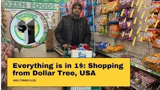 Everything is in 1$:  Shopping from Dollar Tree, Chicago, USA