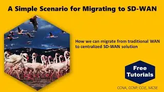 A Simple Scenario for Migrating to SD-WAN