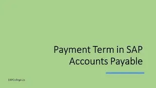 Everything about Payment Terms in SAP (Accounts Payable)