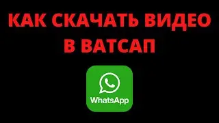 Как скачать видео с ватсапа