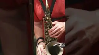 Isn't She Lovely l Scott Paddock Sax Cover