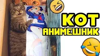 😁 Лютые Приколы ► Кот Анимешник (Смешные мемы. Угарные Приколы и Лучшие Мемы)