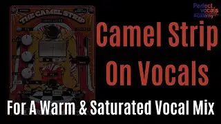 Camel Strip (Safari Plugins) On Vocals For A Warm & Saturated Vocal Mix