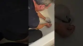 Quickly Unclog Shower Drain 