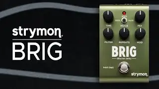 Strymon Brig dBucket Delay Sound Demo (no talking) with Roland S-1 Synth and MEGA FM