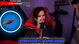 ЯРИК ПРОБУЕТ ТАРАКАНОВ🪳 | НАРЕЗКИ ЭДИСОНА