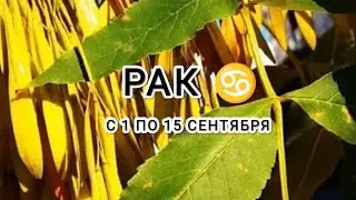 РАК ♋ таро прогноз с 1 по 15 сентября &CANCER tarot forecast from September 1 to September 15