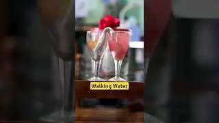 Walking Water Experiment #shorts #science #physics #water #experiment