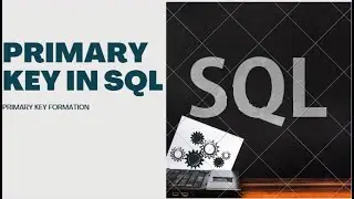 How to Set Primary Key & Identity in SQL Server | Learn SQL | 