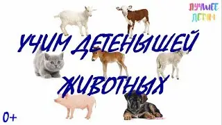 Детеныши животных. Учим детенышей животных для детей на русском / Лучшее детям