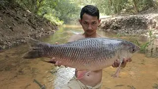 Wow! Cooking Big Fish Soup - Tom Yum Fish Soup Recipe