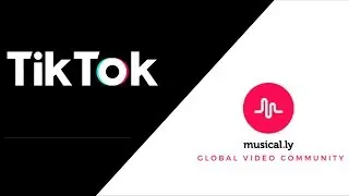 Обзор Musical.ly или TikTok для Андроид