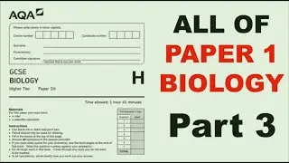 All of BIOLOGY PAPER 1 GCSE WALKTHROUGH PART 3