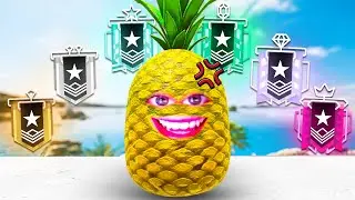 Sir Pineapple 1V1's EVERY RANK IN SIEGE