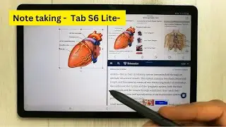 Top 5 Note taking tips & Tricks For Samsung Galaxy Tab S6 Lite