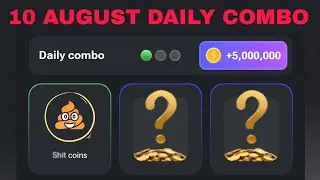 10 AUGUST HAMSTER KOMBAT DAILY COMBO CARDS TODAY