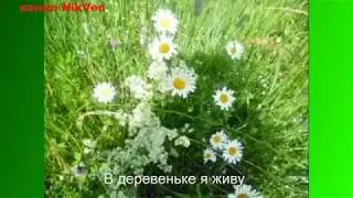 В деревеньке я живу