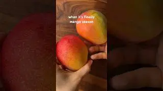 I LIVE for mango season… frozen mango + fresh lime squeeze in a blender