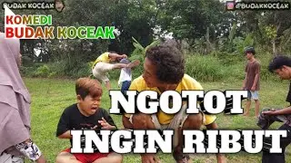 Ngotot Ingin Ribut | Komedi Budak Koceak