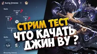 СИЛА, ТОЧНОСТЬ ИЛИ КРИТЫ??? - ЧТО НУЖНО КАЧАТЬ СОН ДЖИН ВУ? ТЕСТИМ. SOLO LEVELING: ARISE